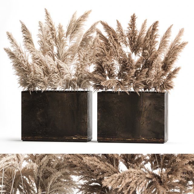 Decorative Bouquet Of Dry Reeds In A Rusty Pots 3D Model .c4d .max .obj .3ds .fbx .stl .blend 