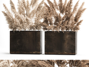Decorative Bouquet Of Dry Reeds In A Rusty Pots 3D Model