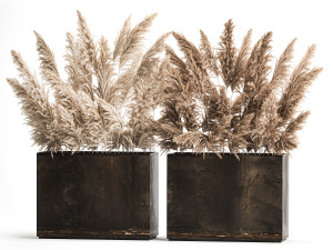 Decorative Bouquet Of Dry Reeds In A Rusty Pots 3D Model