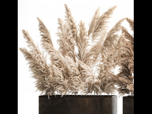 Decorative Bouquet Of Dry Reeds In A Rusty Pots 3D Model