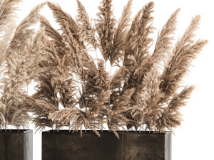 Decorative Bouquet Of Dry Reeds In A Rusty Pots 3D Model