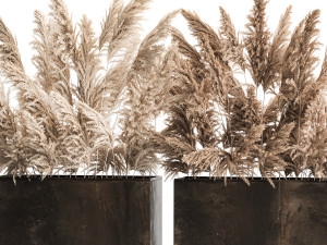 Decorative Bouquet Of Dry Reeds In A Rusty Pots 3D Model
