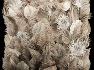 Wedding Decor Arch Wall Dried Flowers Pampas Grass Modelo 3D