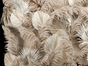 Wedding Decor Arch Wall Dried Flowers Pampas Grass Modello 3D