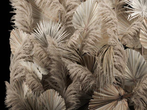 Wedding Decor Arch Wall Dried Flowers Pampas Grass 3D Model