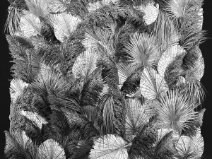 Wedding Decor Arch Wall Dried Flowers Pampas Grass 3D Model