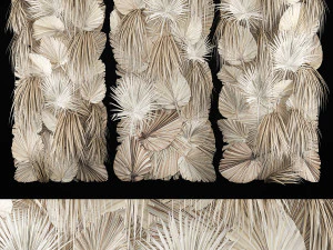 सूखे फूलों और सूखी ताड़ की पत्तियों की फाइटोवॉल 3D मॉडल