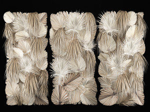 Phytowall Of Dried Flowers And Dry Palm Leaves 3D 模型