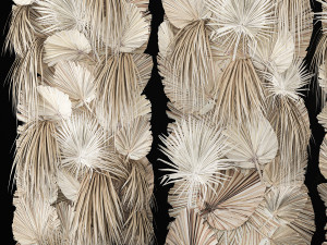 Phytowall Of Dried Flowers And Dry Palm Leaves 3D 模型