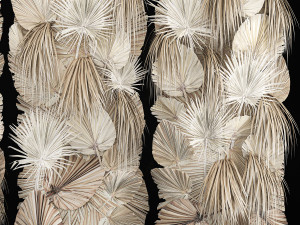 Phytowall Of Dried Flowers And Dry Palm Leaves 3D 模型