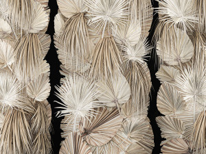 Phytowall Of Dried Flowers And Dry Palm Leaves 3D 模型
