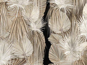 Phytowall Of Dried Flowers And Dry Palm Leaves 3D 模型