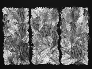 Phytowall Of Dried Flowers And Dry Palm Leaves 3D 模型
