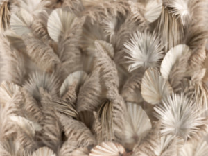 Phyto Wall Of Dry Palm Leaves And Pampas Grass 3Dモデル