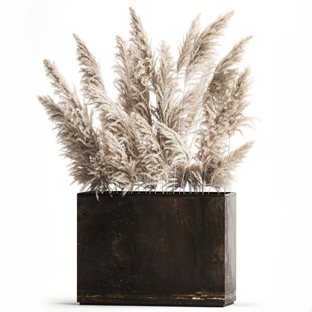 Decorative white Pampas Grass In A Rusty Pot 3D मॉडल .c4d .max .obj .3ds .fbx .stl .blend 