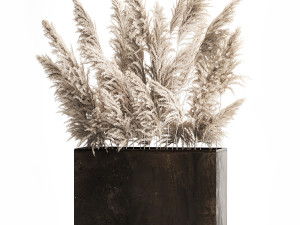 Decorative white Pampas Grass In A Rusty Pot 3D Model