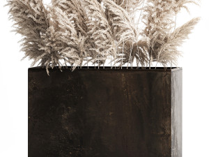 Decorative white Pampas Grass In A Rusty Pot 3D मॉडल