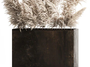 जंग लगे बर्तन में सजावटी सफेद पम्पास घास 3D मॉडल