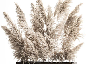 जंग लगे बर्तन में सजावटी सफेद पम्पास घास 3D मॉडल