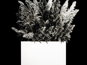 जंग लगे बर्तन में सजावटी सफेद पम्पास घास 3D मॉडल