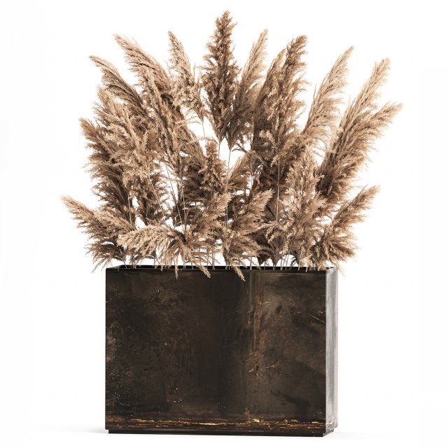 Decorative Pampas Grass In A Rusty Pot 3D Model .c4d .max .obj .3ds .fbx .stl .blend 