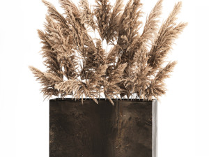 Decorative Pampas Grass In A Rusty Pot 3D Model