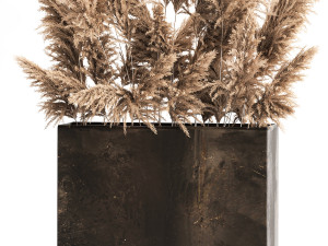 Decorative Pampas Grass In A Rusty Pot 3D Model
