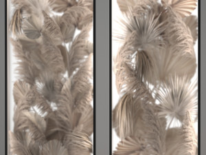 Phyto Wall Of Dry Palm Leaves And Pampas Grass Model 3D