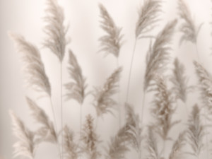 Vertical garden Of Dry Palm Leaves And Pampas Grass 3D Model