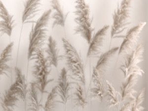 Vertical garden Of Dry Palm Leaves And Pampas Grass 3D Model