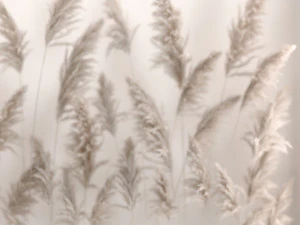 Vertical garden Of Dry Palm Leaves And Pampas Grass 3D Model