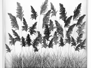 Vertical garden Of Dry Palm Leaves And Pampas Grass 3D Model