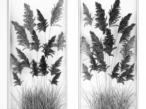Vertical garden Of Dry Palm Leaves And Pampas Grass 3D Model