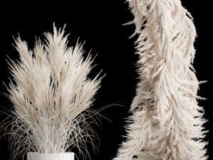 Wedding arch made of dry palm branches and pampas grass 3D 모델