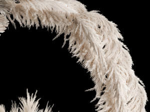 Wedding arch made of dry palm branches and pampas grass 3D 모델