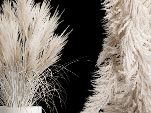 Wedding arch made of dry palm branches and pampas grass 3D 모델