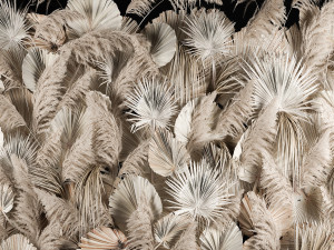 Vertical garden wall made of dry palm branches and pampas grass 3D Модель