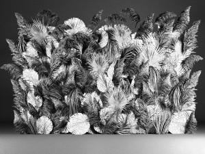Vertical garden wall made of dry palm branches and pampas grass 3D Модель