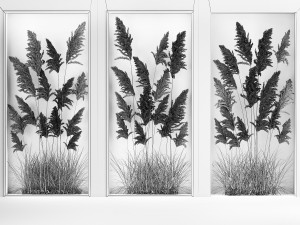 Vertical garden Of Dry Palm Leaves And Pampas Grass 284 3D Model