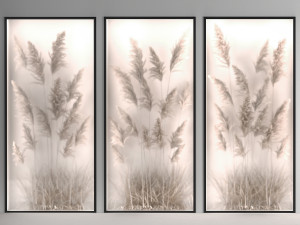 Vertical garden of pampas grass and dry reeds in a phyto box 285 Model 3D
