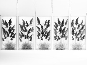 Vertical garden of pampas grass and dry reeds in a phyto box 285 Model 3D
