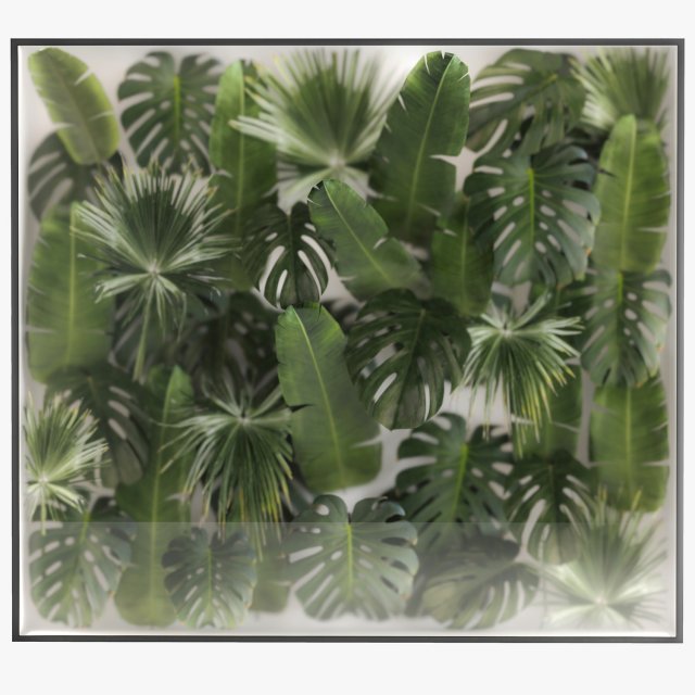 Vertical Garden In A Phyto Box Of Plant Leaves 287 Modello 3D .c4d .max .obj .3ds .fbx .stl .blend 