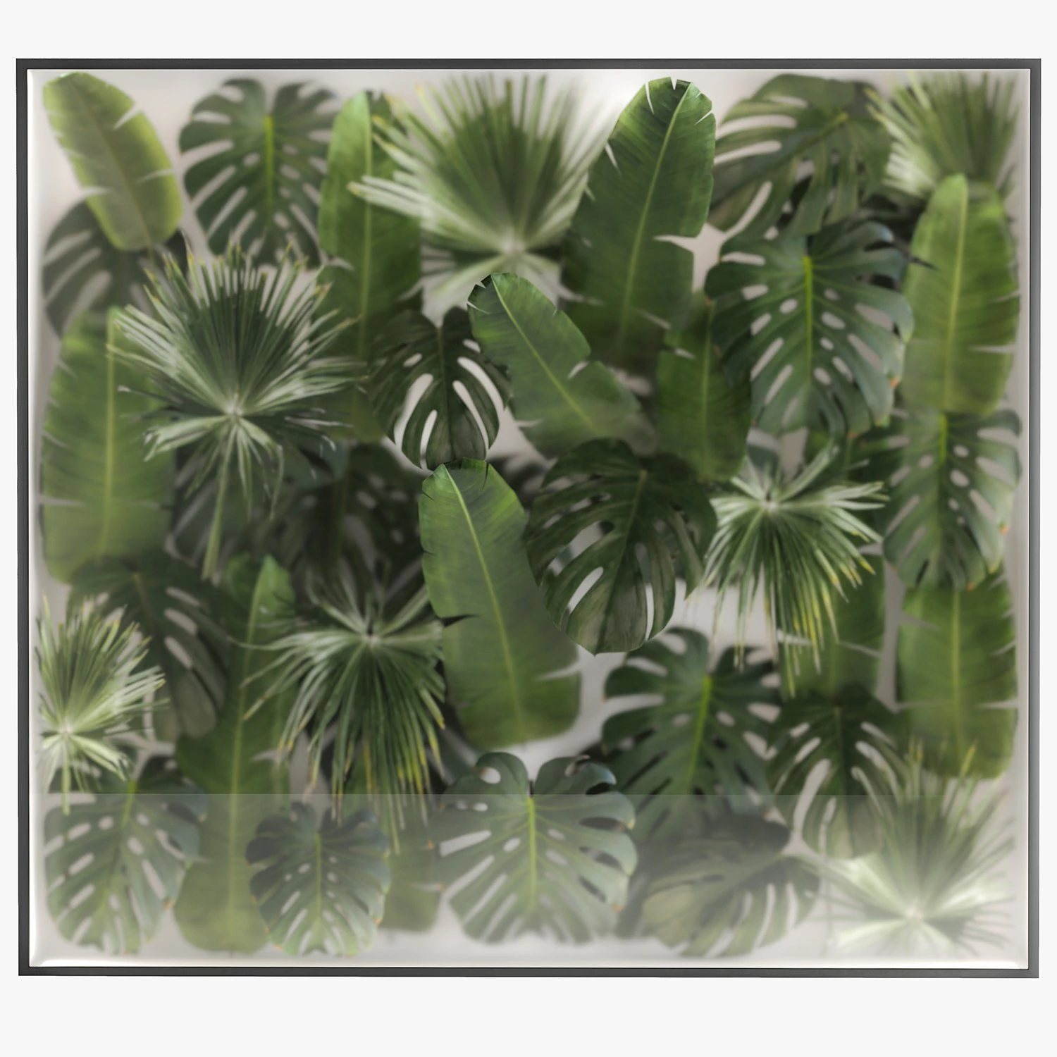 Vertical Garden In A Phyto Box Of Plant Leaves 287 3D Model .c4d .max .obj .3ds .fbx .stl .blend 