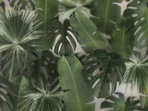 Vertical Garden In A Phyto Box Of Plant Leaves 287 3D Model