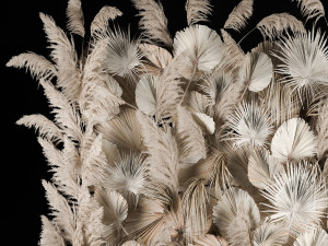 Vertical garden wall made of dry palm branches and pampas grass 3D Модель