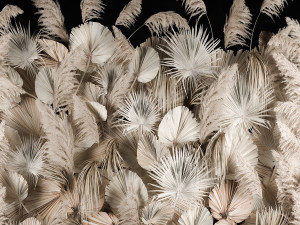 Vertical garden wall made of dry palm branches and pampas grass 3D Модель
