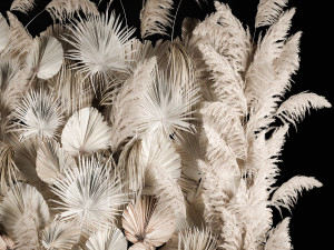 Vertical garden wall made of dry palm branches and pampas grass 3D Модель