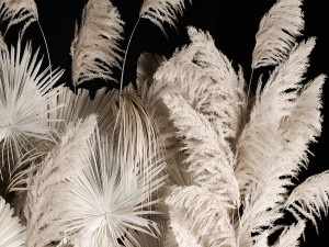 Vertical garden wall made of dry palm branches and pampas grass 3D Модель