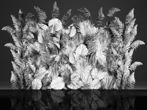 Vertical garden wall made of dry palm branches and pampas grass 3D Модель