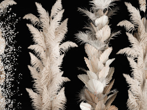 Art Installation Of Dry Branches Dried Flowers Modelo 3D